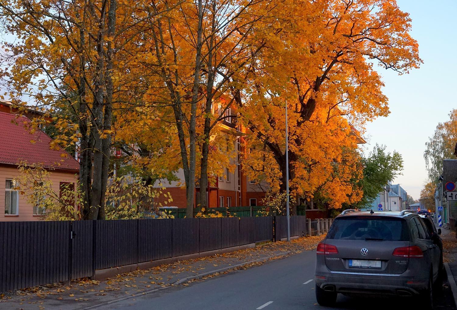 Quiet Romantic Studio Plus Parking, Tartu Home מראה חיצוני תמונה